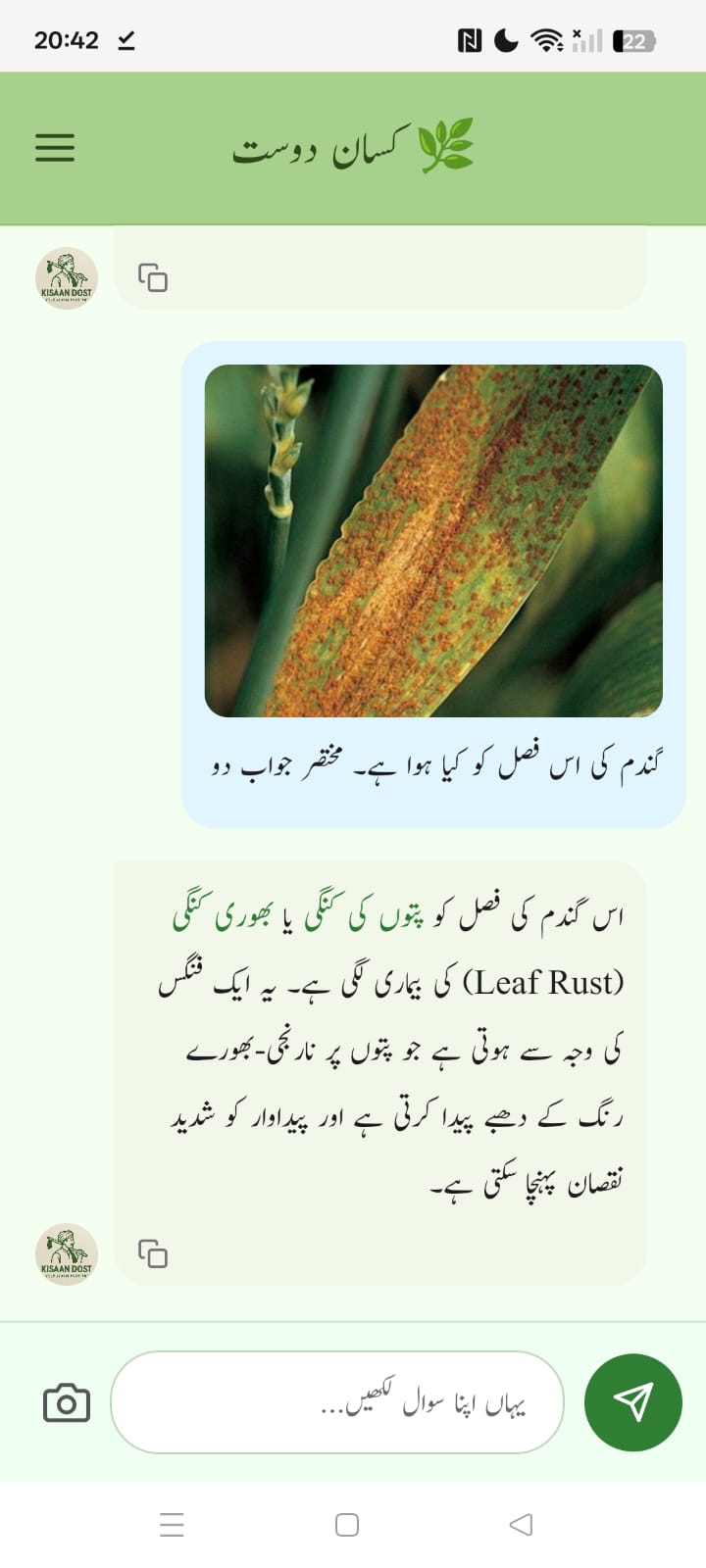 AI Chatbot Interface